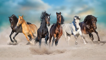 Horses Run Gallop Free In Desert Dust Against Storm Sky