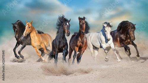 Dekoracja na wymiar  konie-biegna-galopem-w-pyle-pustyni-na-tle-burzowego-nieba