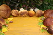 Świeżo zebrane prawdziwki, żołędzie i dębowe liście na żółtych deskach, jesiene tło