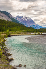 Wall Mural - View at the Coleman creek of Banff National Park in Canadian Rocky Mountains