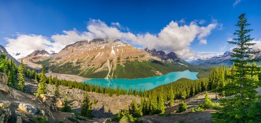 Wall Mural - Panoramic view at the Peyto lake from Bow Summit in Banff National Park - Canada