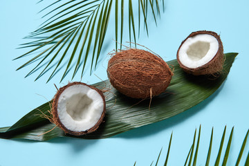 Wall Mural - Different palm leaves and coconut on a blue background. Beautiful creative layout. Flat lay