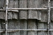 tulip popular bark sheeting used by Native Americans for rooting and siding on wigwam 