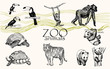 Vector hand drawn monochrome animals set. Zoo animals: toucan bird, chimpanzee, gorilla, panda, turtle.