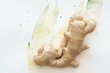 Wall Mural - top view of ginger root on white surface with watercolor strokes