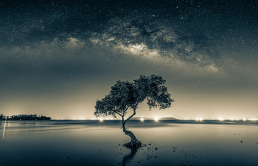 Wall Mural - black and white image of night sky with stars and silhouette mangrove tree in sea. long exposure pho