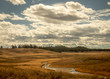 Stream running through golden meadow in autumn with mountains and clouds