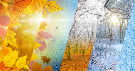 Canvas Print - Fall and winter, weather forecast concept