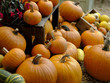 © Julian Gazzard - Autumn - harvest festival - Halloween - Thanks Giving: a colourful arrangement of pumpkin, marrow, gourdes and others.