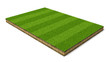 3d rendering of an isolated sports field with green grass on a white background.