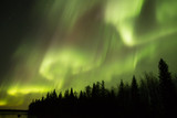 Fototapeta Tęcza - Northern Lights in Kuusamo, Finland