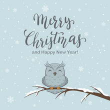 Lettering Merry Christmas On Winter Background And Owl