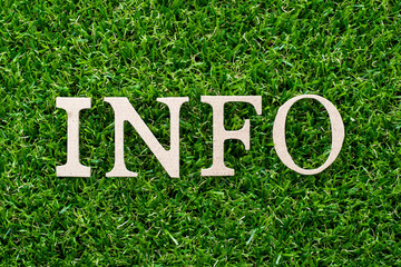 Sticker - Wood letter in word info on artificial green grass background