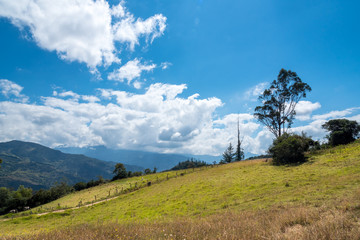 Wall Mural - Landscape with farms at sunset with trees roads and mountains. Colombia