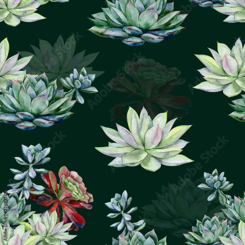 Watercolor succulents seamless pattern, echeveria illustration, botanical pai...