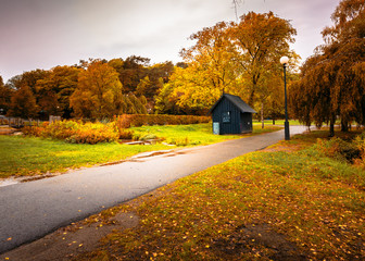 Black cabin surrounded with trees full of colors