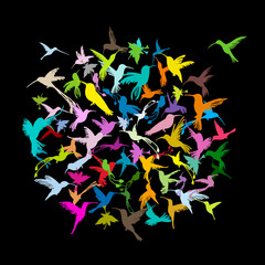 Poster - Colibri collection, sketch for your design