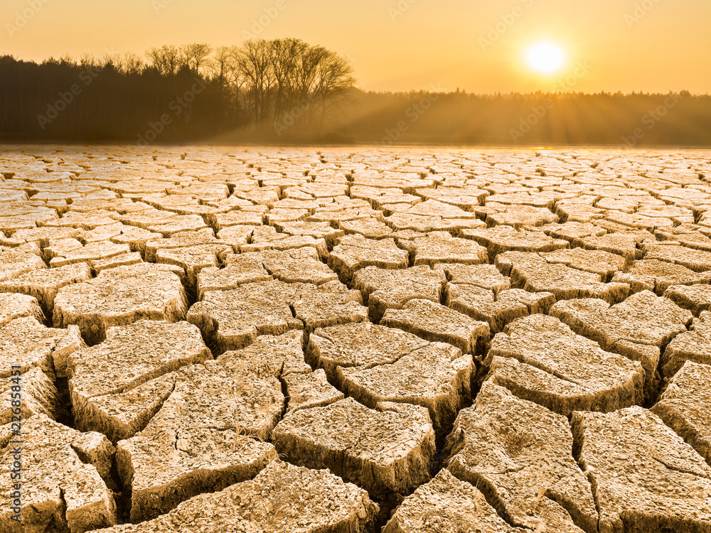 Parched cracked soil in landscape at sunrise. Close-up of drought in a ...