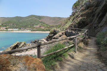 Wall Mural - Küstenwanderweg Biodolo Bucht, Elba