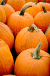 © Ezume Images - Display Pumpkins