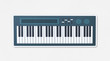 Electronic keyboard musical instrument icon illustration