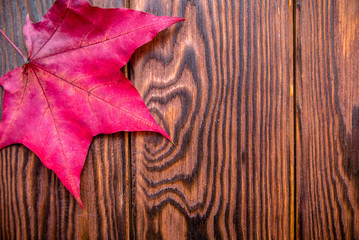 Red maple leaf lies on a brown wooden background 