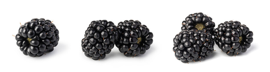 blackberry