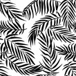 Black palm leaves on white background. Tropical silhouette seamless vector pattern.
