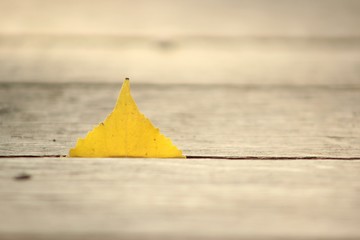 Wall Mural - autumn, leaf, yellow, fall, pyramid