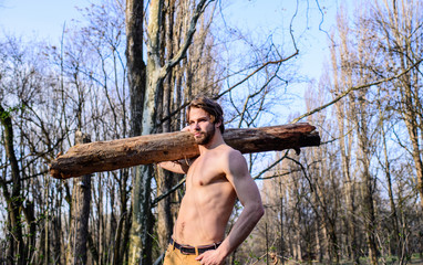 Strength and power. Man brutal strong attractive guy collecting wood in forest. Lumberjack or woodman sexy naked muscular torso gathering wood. Man brutal sexy lumberjack carry big log on shoulder