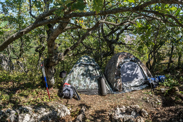 Poster - Camping with a tent