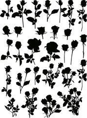 Wall Mural - twenty nine rose silhouettes on white