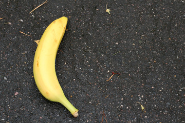 Banana left outside on the ground