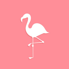 Wall Mural - flamingo bird white shape on pink background