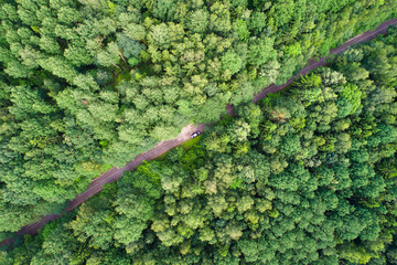 Wall Mural - Green forest with road from above
