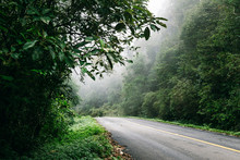 Road In With Nature Forest And Foggy Road  Of Rain Forest.