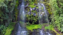 Time-lapse Tilt Down A Waterfall Running Down A Cliff From A Spring High On The Valley Side. In Lush Cloudforest Near Cotopaxi Volcano, Ecuador.