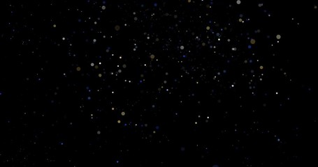 Wall Mural - Flying dust particles on a black background