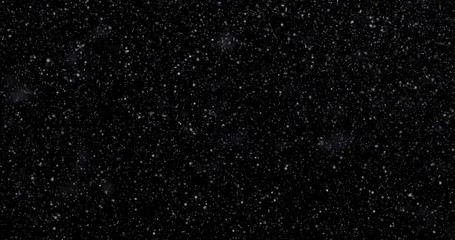 Wall Mural - Natural white winter snowfall on a black background