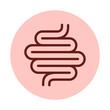 Digestive tract vector icon