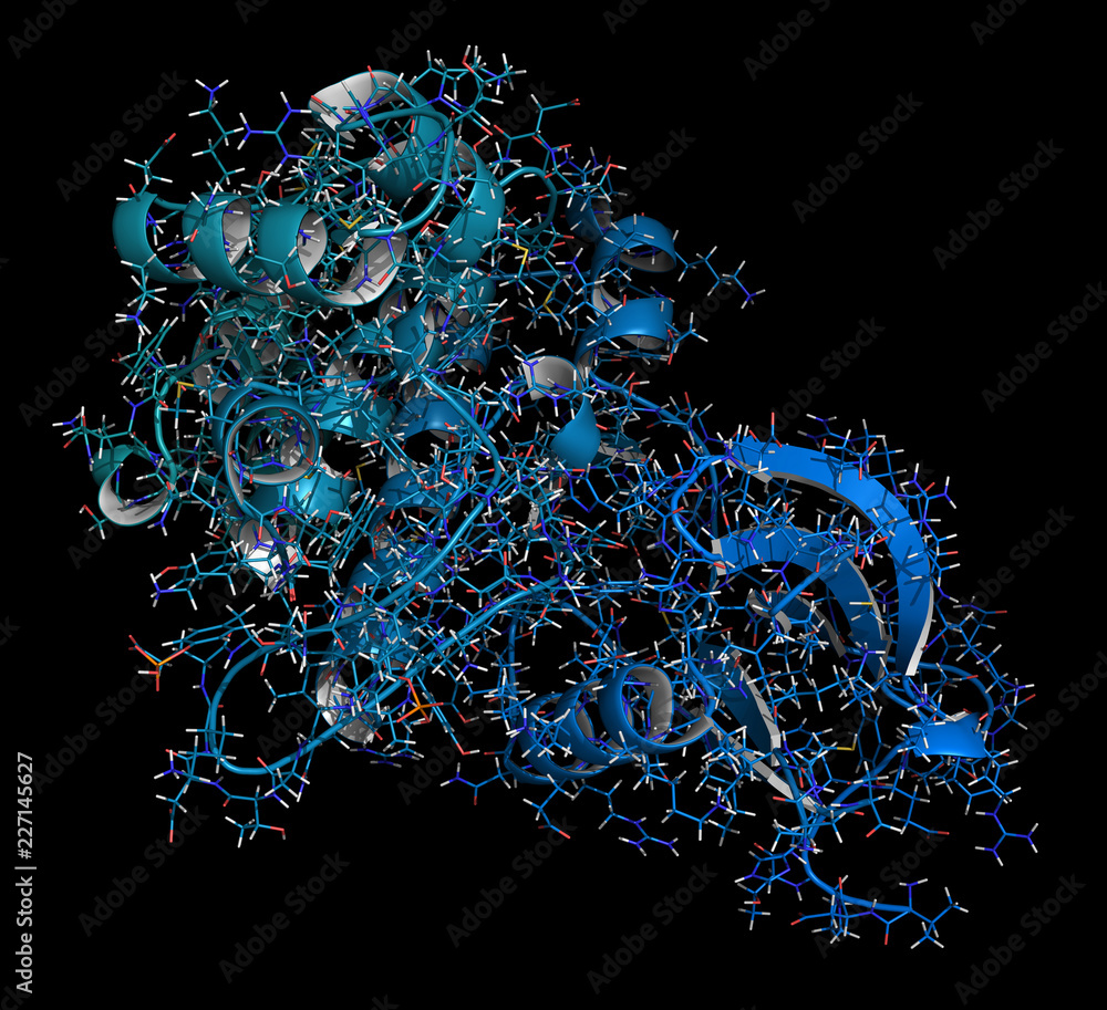 Janus kinase 1 protein. Part of JAK-STAT signalling pathway and drug target. 3D rendering, cartoon + line representation. N-to-C gradient coloring. - obrazy, fototapety, plakaty 