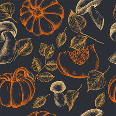 Vector seamless pattern of autumn pattern. Hand drawn vector illustration