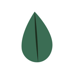 beautiful leaf plant icon