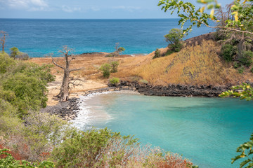 Wall Mural - Sea beach Palm tree fishing landscape of Sâo Tomé and Principe. Mountains like Pico Cão Grande. Travel to Sao Tome and Principe. Beautiful paradise island in Gulf of Guinea. Former colony of Portugal