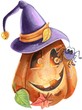 Pumpkin in witch hat with cute spider. Hand drawn watercolor painting on white background.