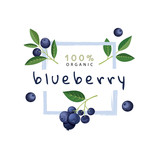 Fototapeta Dinusie - Label with blueberries and leaves. Vector illustration