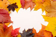 © mellisandra - Frame of autumn yellow, red and purple autumn leaves. Background for inscriptions. Copy space, flat lay