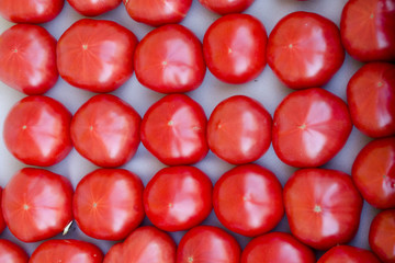 Wall Mural - Red tomatoes on white paper