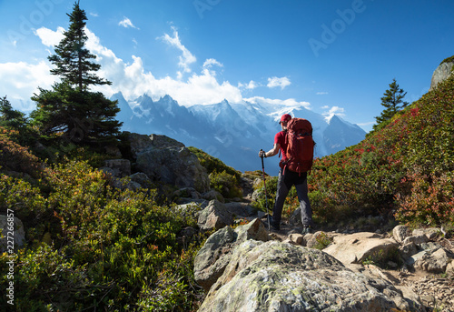 Cuadros en Lienzo A man hiking on the famous Tour du Mont Blanc near Chamonix, France