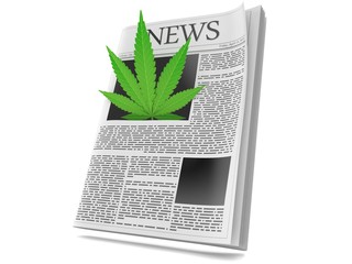 Canvas Print - Cannabis leaf inside newspaper